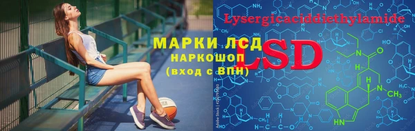 PSILOCYBIN Армянск